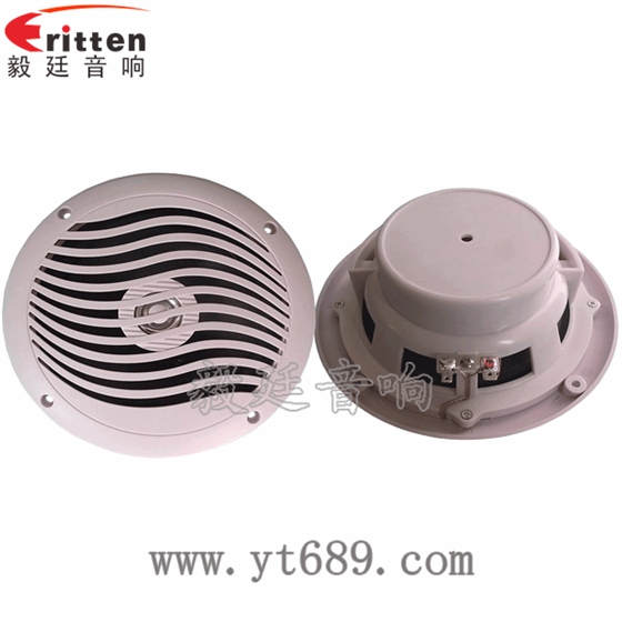 8''中低音舞臺(tái)音箱喇叭廠家正反面