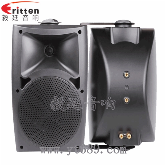 8''中低音舞臺(tái)音箱喇叭廠家正反面
