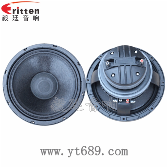 10寸pa喇叭廠家正反面 8''250w 重低音喇叭正反面