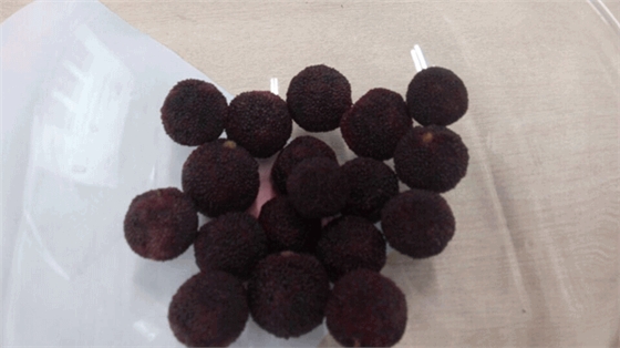 毅廷喇叭廠(chǎng)勇敢邁出第一步就是我們最大勝得 —牛商爭(zhēng)霸死黨互動(dòng)學(xué)習(xí)共成長(zhǎng) 毅廷喇叭廠(chǎng)勇敢邁出第一步就是我們最大勝得 —牛商爭(zhēng)霸死黨互動(dòng)學(xué)習(xí)共成長(zhǎng)