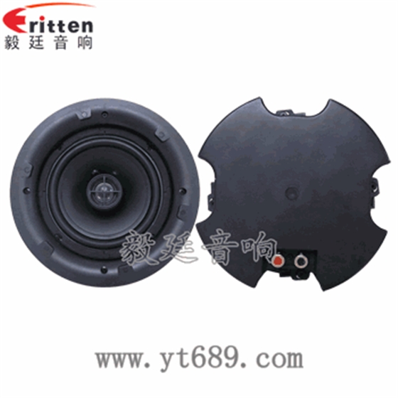 供應(yīng)帶功放同軸毅廷天花喇叭
