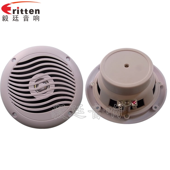 8''中低音舞臺(tái)音箱喇叭廠家正反面