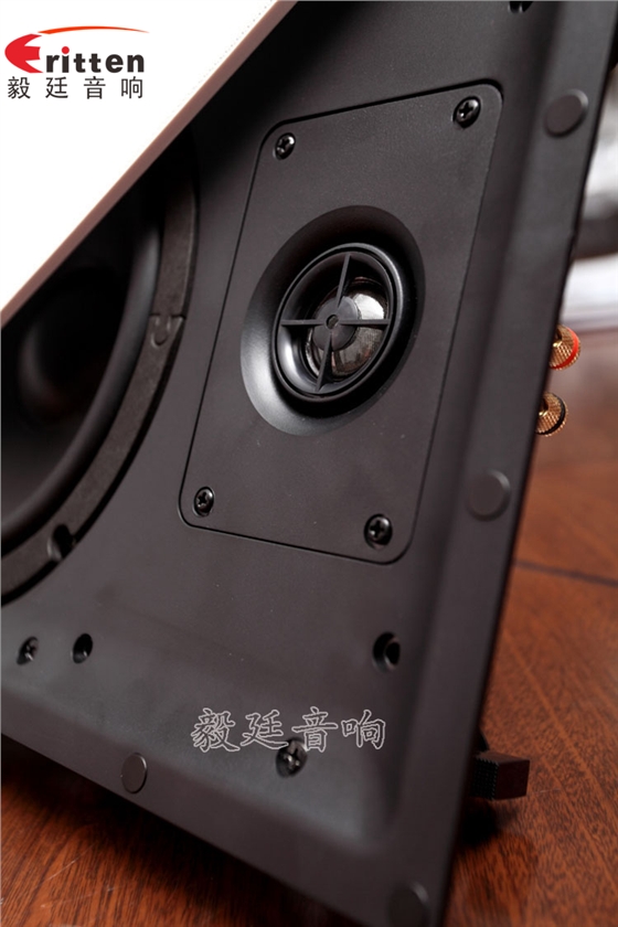 8寸天花吸頂揚聲器正反面 8''中低音舞臺音箱喇叭廠家正反面