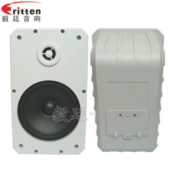 10寸專業(yè)音箱喇叭正反面 8''中低音舞臺(tái)音箱喇叭廠家正反面