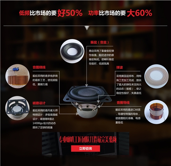 喇叭解剖圖 喇叭解剖圖