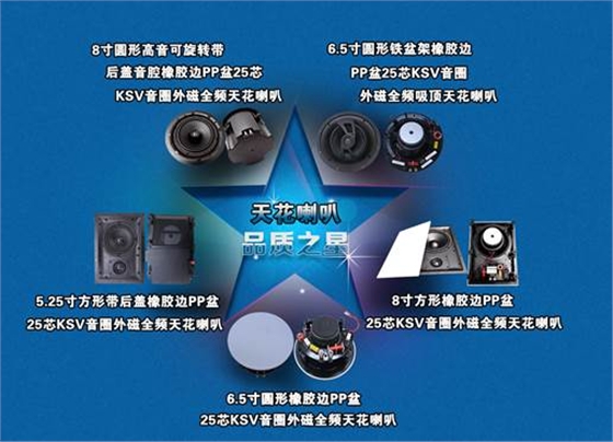 揚(yáng)聲器喇叭 揚(yáng)聲器喇叭