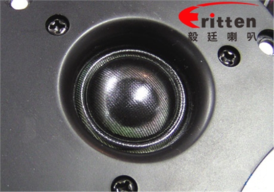 高音揚(yáng)聲器廠家