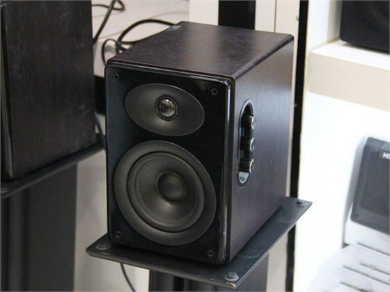 東莞毅廷喇叭廠 東莞毅廷喇叭廠