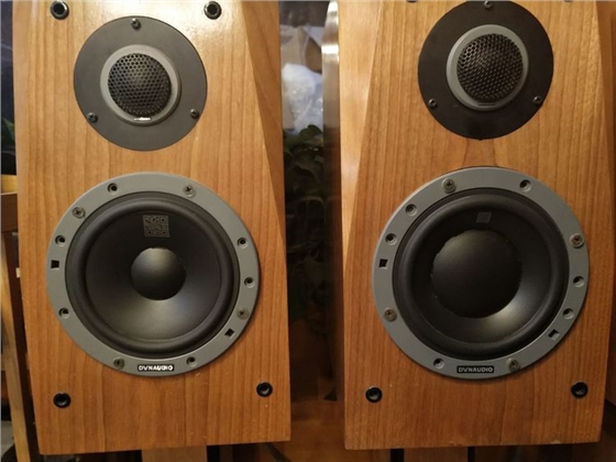 XY喇叭和YY揚聲器 XY喇叭和YY揚聲器