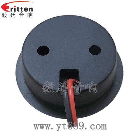 2寸20W汽車音響高音喇叭