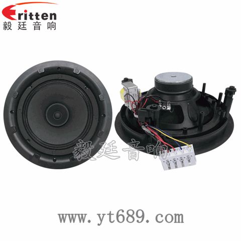 8寸25芯20瓦全頻喇叭