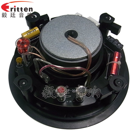 5.25寸天花揚(yáng)聲器