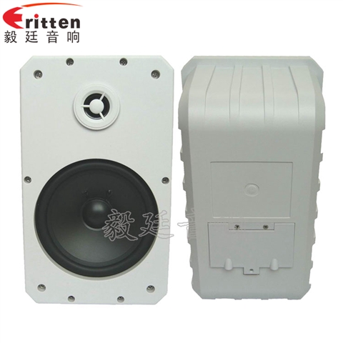 10寸專業(yè)音箱喇叭 10寸專業(yè)音箱喇叭