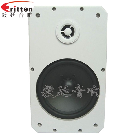 10寸專業(yè)音箱喇叭 10寸專業(yè)音箱喇叭