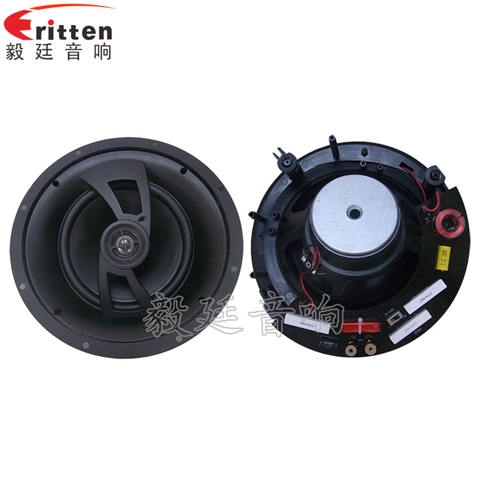 2路8寸吊頂喇叭 2路8寸吊頂喇叭