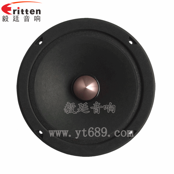 8''中低音舞臺(tái)音箱喇叭廠家正面圖