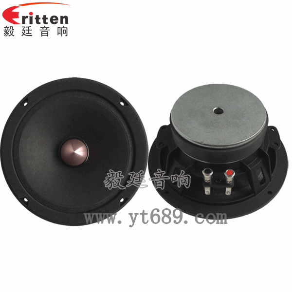 定制6.5寸中音喇叭--喇叭廠家正反面 8''中低音舞臺(tái)音箱喇叭廠家正反面