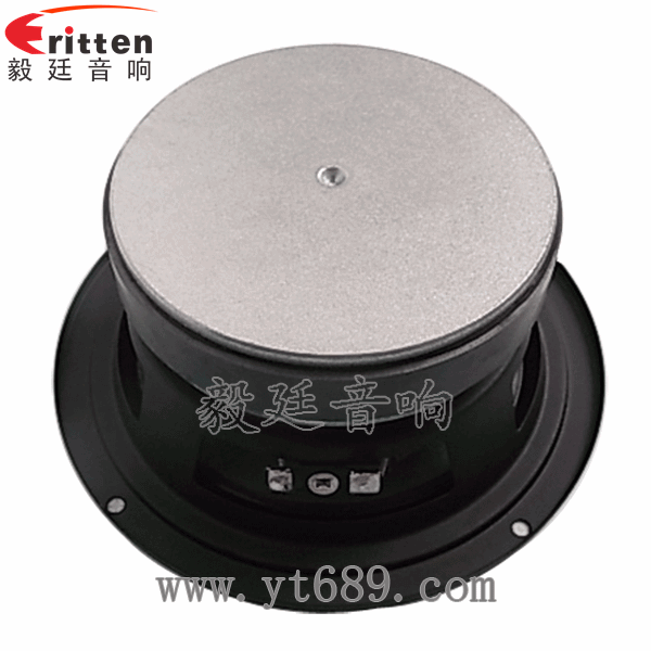 5.25寸汽車音響喇叭廠家正面圖