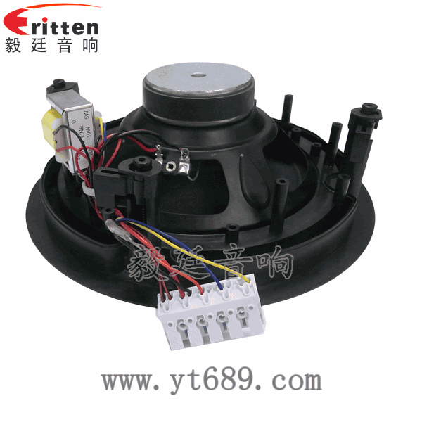 58mm20芯8瓦內(nèi)磁全頻喇叭反面圖