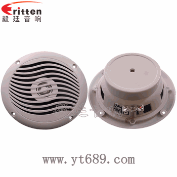 &ldquo;納尼&rdquo;毅廷完美喇叭功放?。?/></a></p><p><span style=