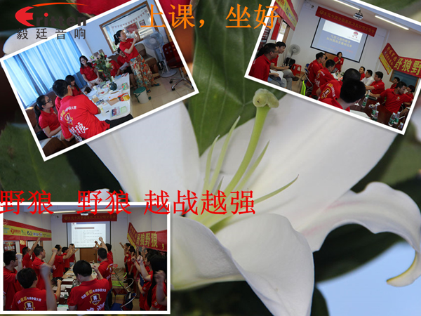 毅廷喇叭廠參與跟著野狼越戰(zhàn)越強,金光閃閃的錢阿~錢 毅廷喇叭廠參與跟著野狼越戰(zhàn)越強,金光閃閃的錢阿~錢