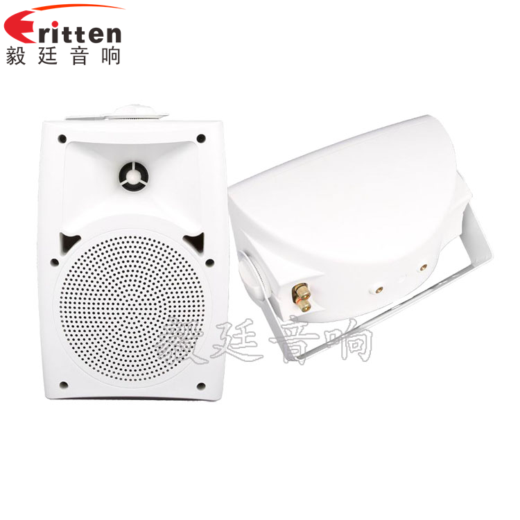 4寸掛壁音箱正反面 8''中低音舞臺(tái)音箱喇叭廠家正反面