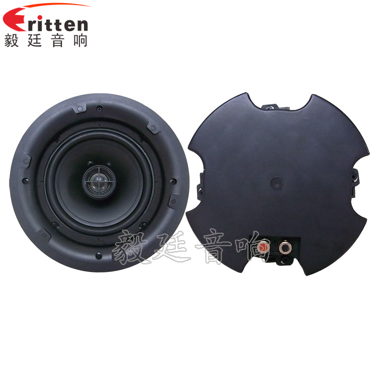 40w 6.5寸吸頂式喇叭正反面 8''250w 重低音喇叭正反面