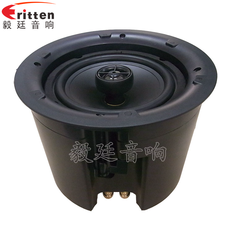 8''250w 重低音喇叭正面圖