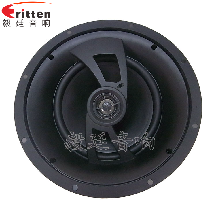 8''250w 重低音喇叭正面圖