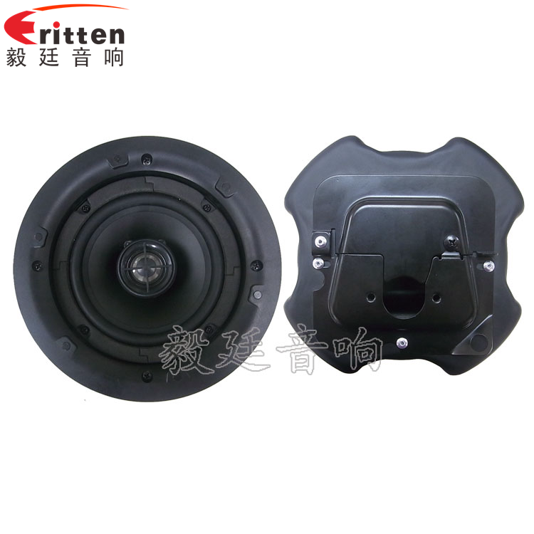 5.25寸圓筒吸頂天花喇叭正反面 8''250w 重低音喇叭正反面