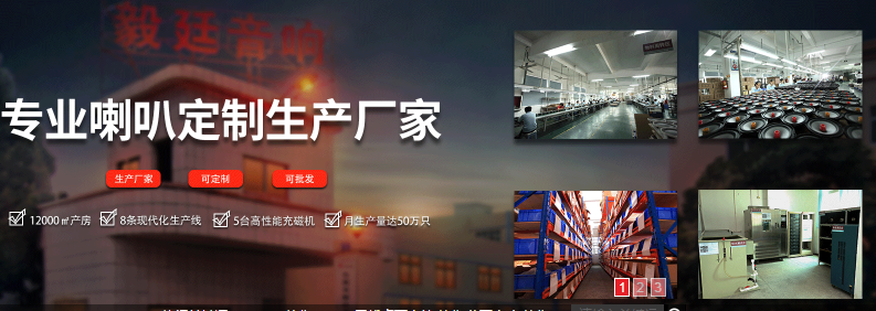 音響喇叭生產(chǎn)廠家 音響喇叭生產(chǎn)廠家