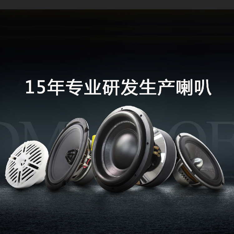 SD揚(yáng)聲器 SD揚(yáng)聲器