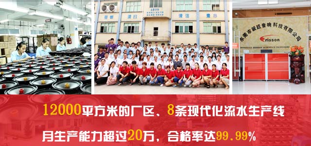 12000平方米廠區(qū)，8條現(xiàn)代化流水生產(chǎn)線
